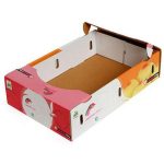Corrugated Fruit Carton Box (2)