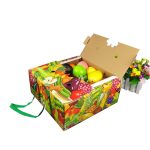 Corrugated Fruit Carton Box (6)