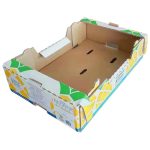 Fruit carton box
